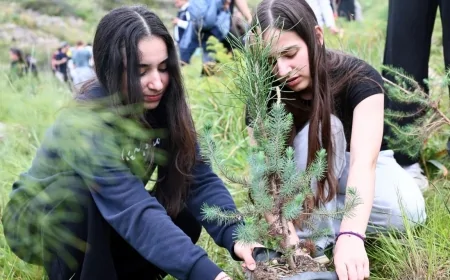 Ali Kelle Hatıra Ormanı Yangın Sonrası Yeniden Yeşeriyor: Geleceğe Bin 500 Nefes