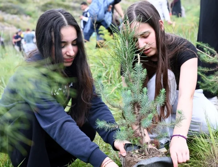Ali Kelle Hatıra Ormanı Yangın Sonrası Yeniden Yeşeriyor: Geleceğe Bin 500 Nefes