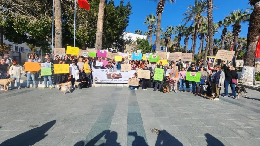 Sokak Hayvanları İçin Tarihi Buluşma: Bodrum Belediye Meydanı’ndan Kısırlaştır Aşılat Yerinde Yaşat Çağrısı