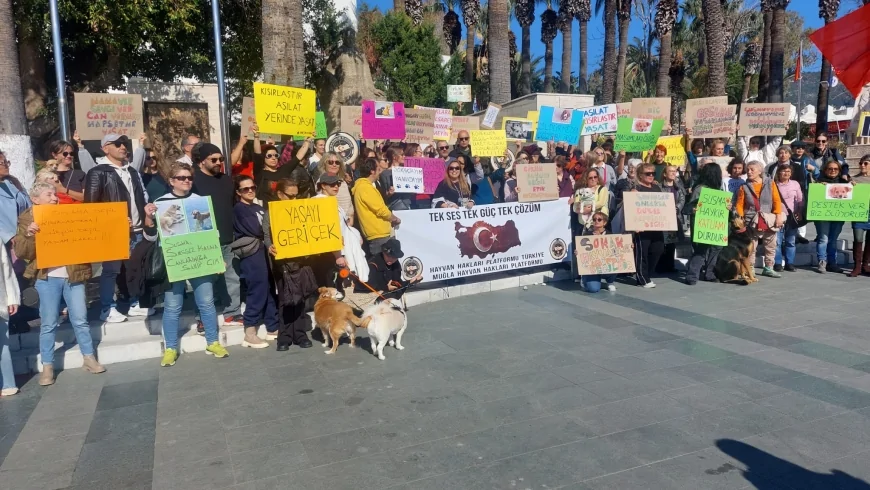 Sokak Hayvanları İçin Tarihi Buluşma: Bodrum Belediye Meydanı’ndan Kısırlaştır Aşılat Yerinde Yaşat Çağrısı