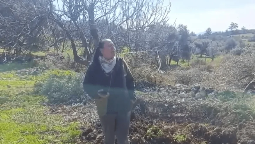 Akbelen’de Zeytin Kıyımı Başladı: Avukat Remzi Kazmaz’dan Hukuk Devleti Vurgusu