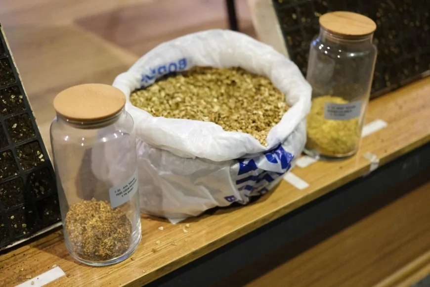 Bodrumlu Çocuklar Orman Haftasında Tohumun Yolculuğunu Öğrendi: Gelecek Nesillere Yeşil Bir Dünya