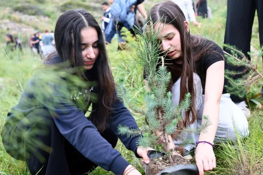 Ali Kelle Hatıra Ormanı Yangın Sonrası Yeniden Yeşeriyor: Geleceğe Bin 500 Nefes
