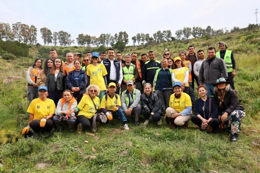 Ali Kelle Hatıra Ormanı Yangın Sonrası Yeniden Yeşeriyor: Geleceğe Bin 500 Nefes