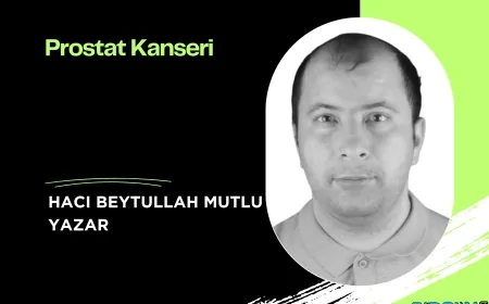 Prostat Kanseri