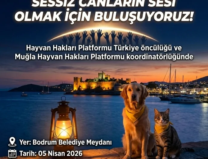 Türkiye "Yaşam Hakkı" İçin Tek Ses Oluyor: 81 İlde Dev Hayvan Hakları Buluşması