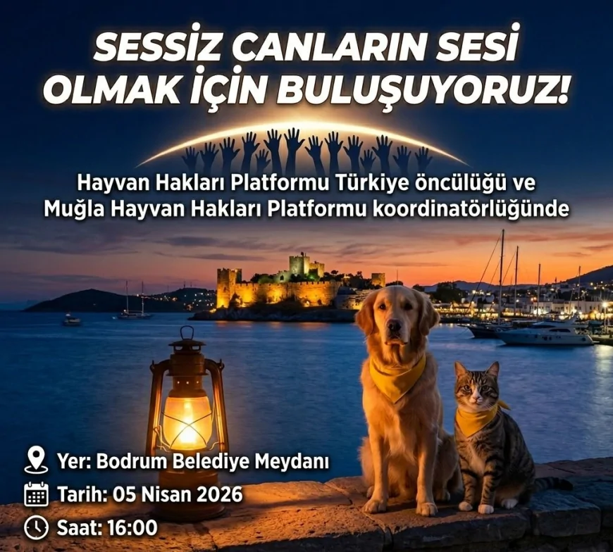 Türkiye "Yaşam Hakkı" İçin Tek Ses Oluyor: 81 İlde Dev Hayvan Hakları Buluşması