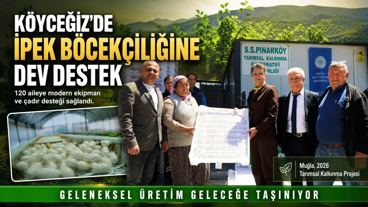 Muğla Büyükşehir Belediyesi’nden Köyceğiz’e İpek Böcekçiliği Desteği: Geleneksel Üretim Yeniden Canlanıyor