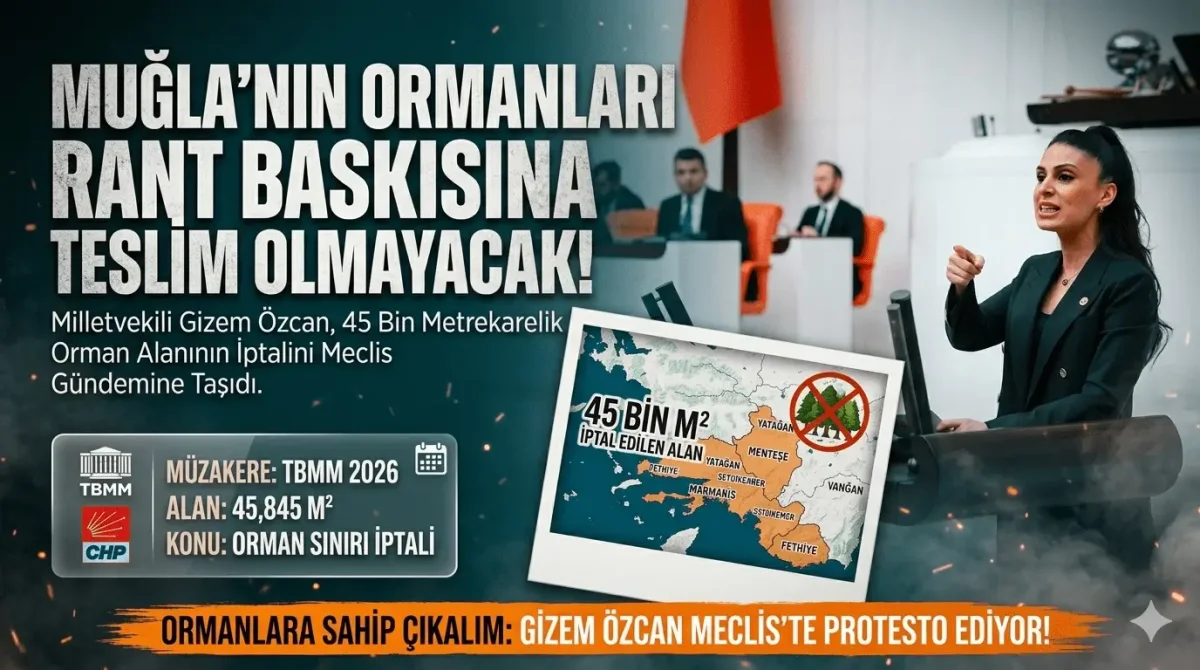 CHP’li Gizem Özcan Muğla’daki Orman Kararını Meclise Taşıdı: Ranta Teslim Etmeyeceğiz