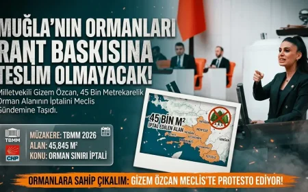 CHP’li Gizem Özcan Muğla’daki Orman Kararını Meclise Taşıdı: Ranta Teslim Etmeyeceğiz