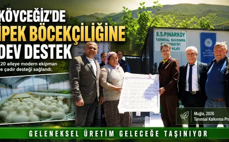 Muğla Büyükşehir Belediyesi’nden Köyceğiz’e İpek Böcekçiliği Desteği: Geleneksel Üretim Yeniden Canlanıyor