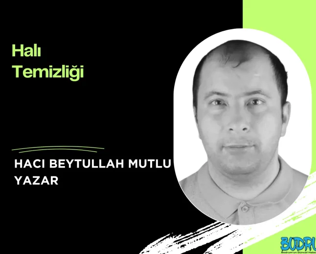 Halı Temizliği