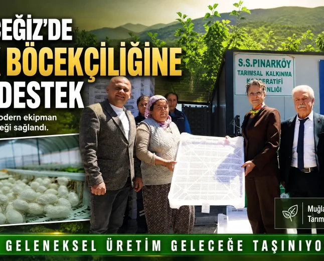 Muğla Büyükşehir Belediyesi’nden Köyceğiz’e İpek Böcekçiliği Desteği: Geleneksel Üretim Yeniden Canlanıyor