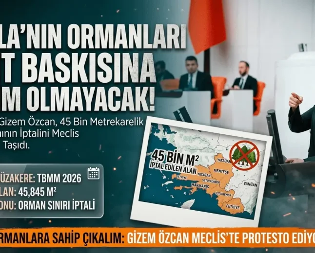 CHP’li Gizem Özcan Muğla’daki Orman Kararını Meclise Taşıdı: Ranta Teslim Etmeyeceğiz