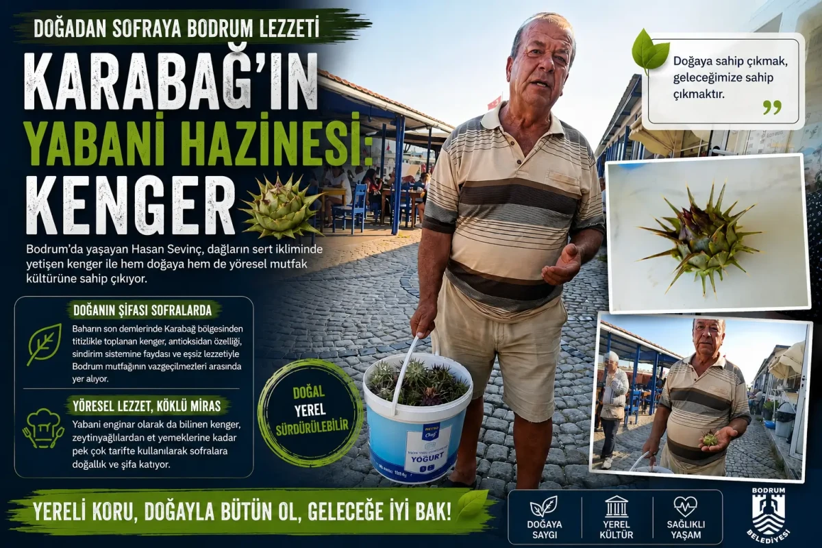 Bodrum’un Dağlarından Sofralara Gelen Şifa: Kenger İle Geleneksel Mutfak Kültürü Canlanıyor