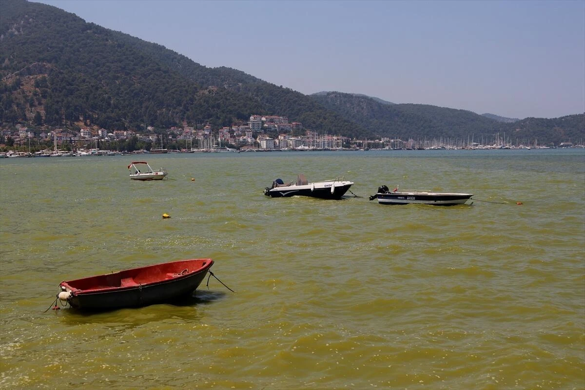 İYİ Partili Metin Ergun’dan Fethiye Körfezi İçin Meclis Araştırması Çağrısı