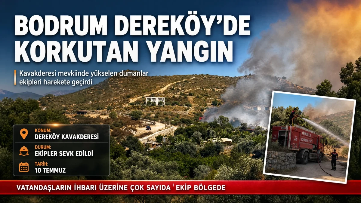 Dereköy Kavakderesi Mevkiinde Yangın: Ekipler Hızla Müdahale Ediyor