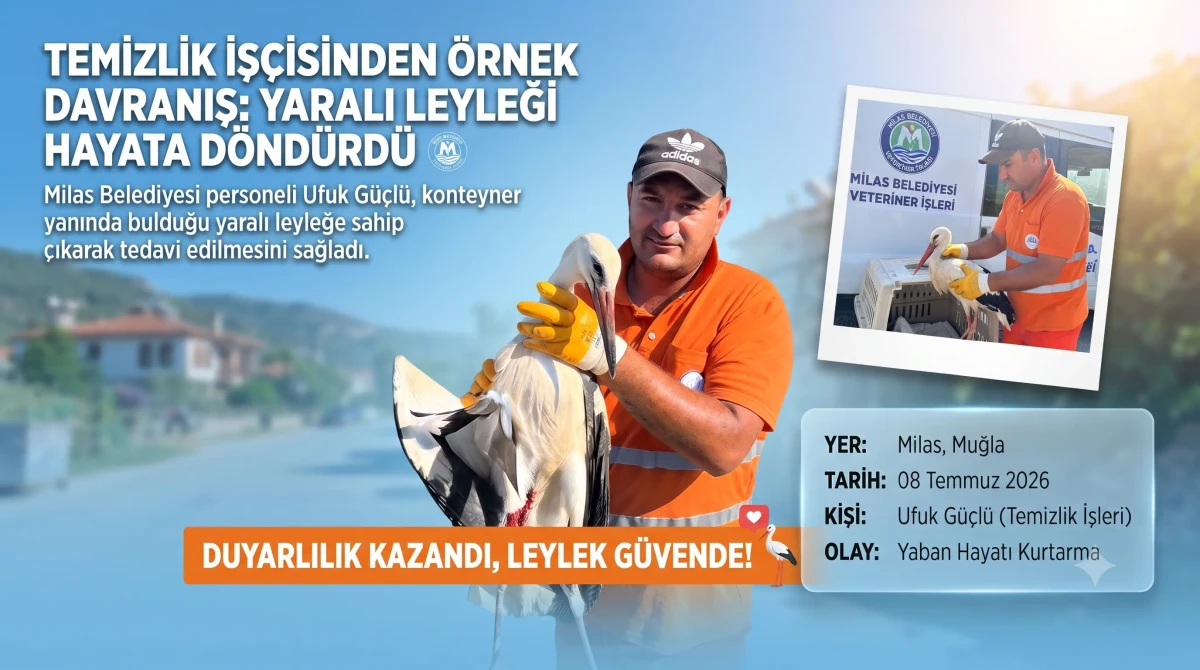 Milas’ta Örnek Davranış: Temizlik İşçisi Yaralı Leyleğin Hayatını Kurtardı