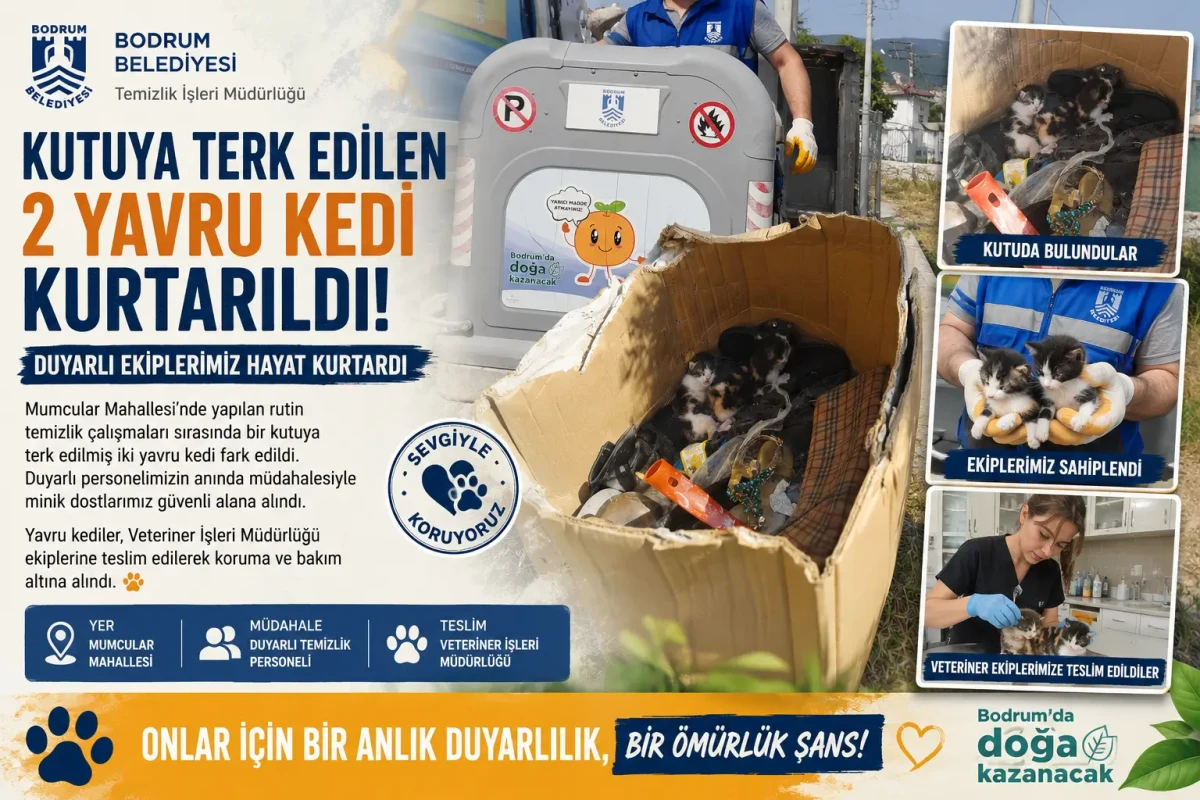 Bodrum’da Duyarlı Davranış: Temizlik İşçileri İki Yavru Kediyi Ölümden Kurtardı