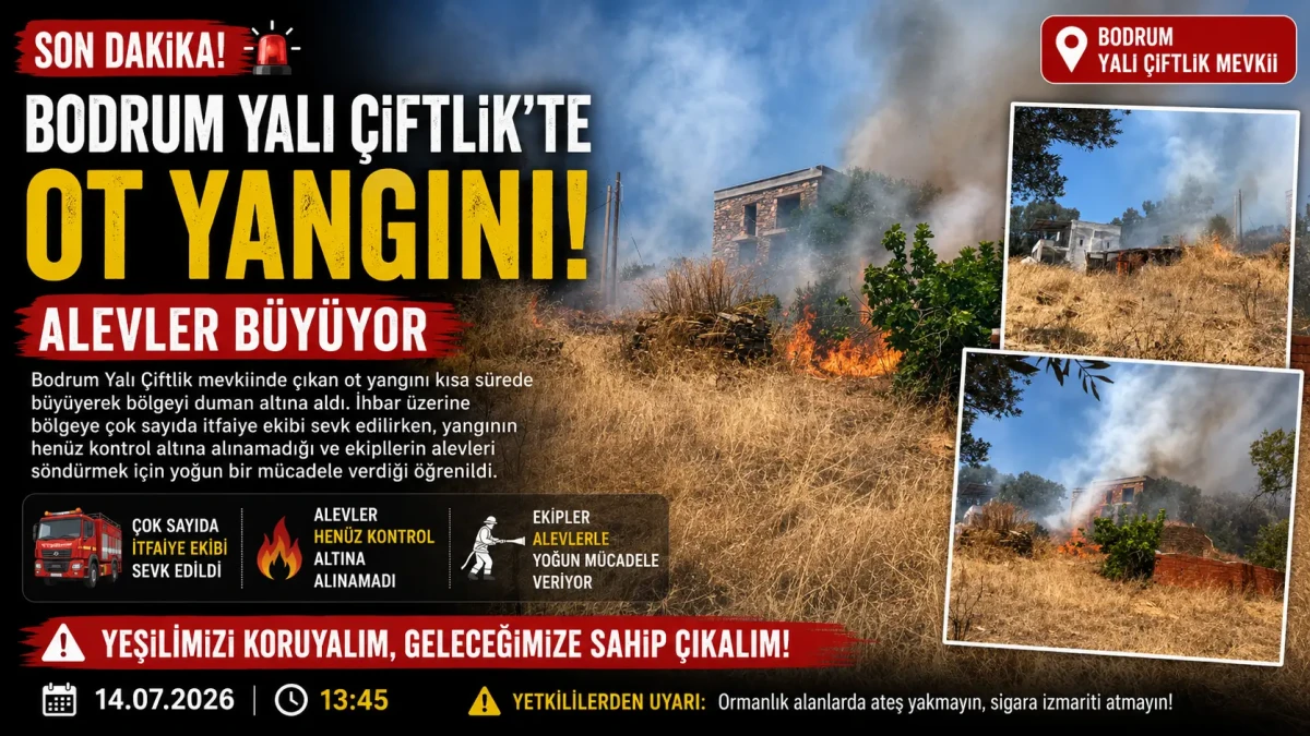 Bodrum Yalı Çiftlik’te Korkutan Yangın: Ekipler Alevlere Müdahale Ediyor