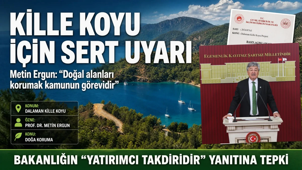 Prof. Dr. Metin Ergun’dan Kille Koyu Tepkisi: “Doğayı Koruma Sorumluluğu Yatırımcıya Bırakılamaz”