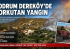 Dereköy Kavakderesi Mevkiinde Yangın: Ekipler Hızla Müdahale Ediyor