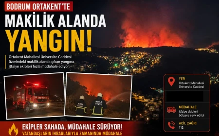 Ortakent’te Makilik Alanda Yangın: İtfaiye Ekipleri Müdahale Ediyor