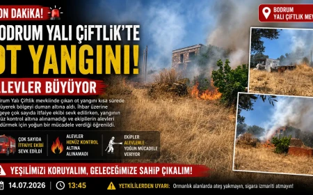 Bodrum Yalı Çiftlik’te Korkutan Yangın: Ekipler Alevlere Müdahale Ediyor