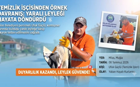 Milas’ta Örnek Davranış: Temizlik İşçisi Yaralı Leyleğin Hayatını Kurtardı