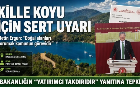 Prof. Dr. Metin Ergun’dan Kille Koyu Tepkisi: “Doğayı Koruma Sorumluluğu Yatırımcıya Bırakılamaz”