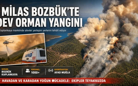 Milas Bozbük’te Orman Yangını: Havadan ve Karadan Yoğun Müdahale Sürüyor