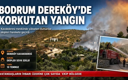 Dereköy Kavakderesi Mevkiinde Yangın: Ekipler Hızla Müdahale Ediyor