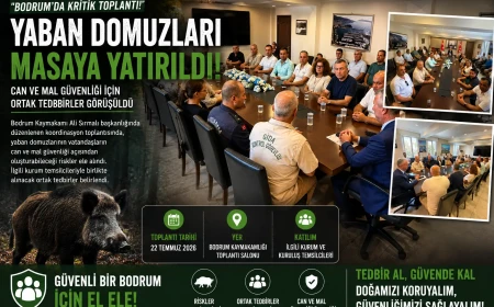 Bodrum’da Yaban Domuzu Riskine Karşı Kritik Koordinasyon Toplantısı
