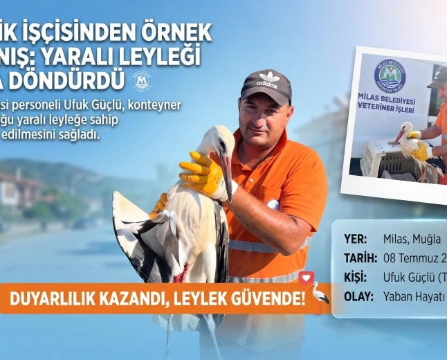 Milas’ta Örnek Davranış: Temizlik İşçisi Yaralı Leyleğin Hayatını Kurtardı