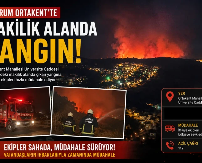 Ortakent’te Makilik Alanda Yangın: İtfaiye Ekipleri Müdahale Ediyor