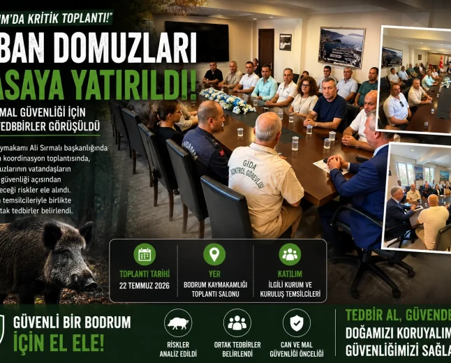 Bodrum’da Yaban Domuzu Riskine Karşı Kritik Koordinasyon Toplantısı