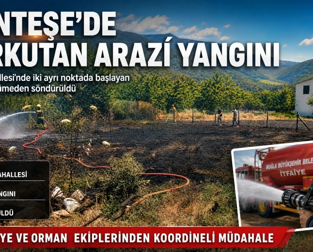 Menteşe’de Arazi Yangını: İtfaiye Ekipleri Söndürdü