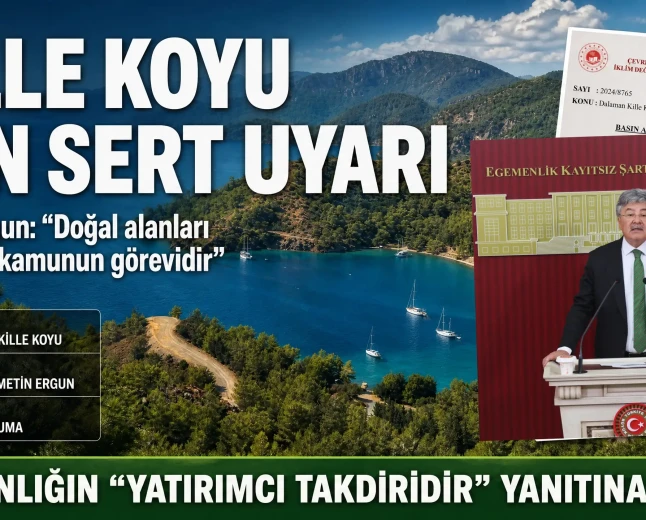 Prof. Dr. Metin Ergun’dan Kille Koyu Tepkisi: “Doğayı Koruma Sorumluluğu Yatırımcıya Bırakılamaz”