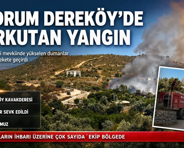 Dereköy Kavakderesi Mevkiinde Yangın: Ekipler Hızla Müdahale Ediyor