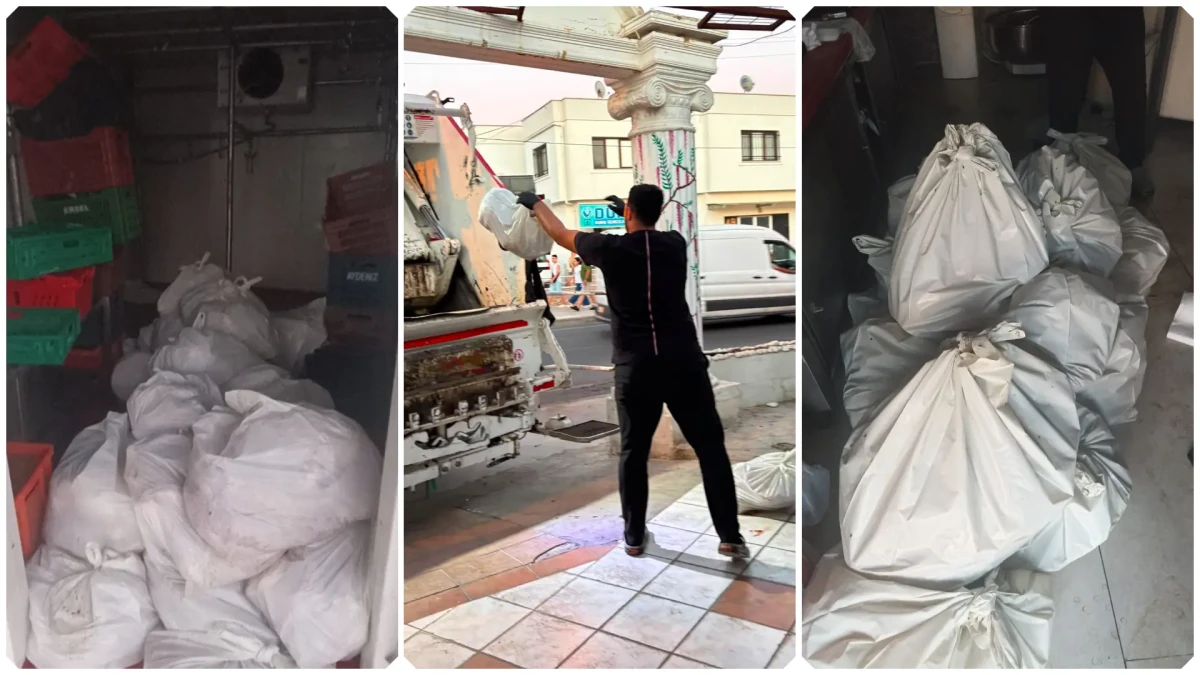 Bodrum'da Zabıta Ekiplerinden Operasyon: Depoda 400 Kilogram Bozuk Et Ele Geçirildi