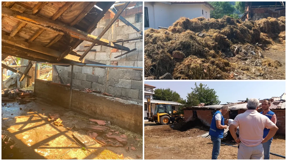 Muğla Büyükşehir Belediyesi'nden Ortaca'da Yangınzede Üreticiye Destek Eli