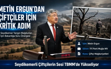 İYİ Partili Metin Ergun'dan Seydikemer Orman Yangını İçin Meclis'te Soru Önergesi