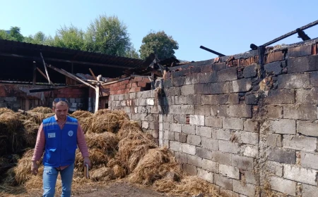Muğla Büyükşehir Belediyesi'nden Ortaca'da Yangınzede Üreticiye Destek Eli