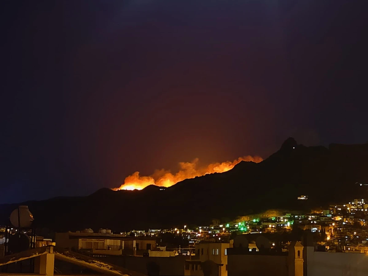 Bodrum Mandıra Mevkiinde Makilik Yangın: Ekipler Rüzgara Karşı Mücadele Ediyor