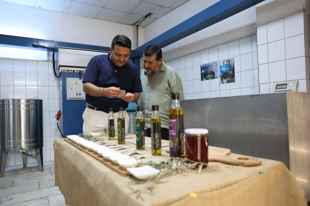Agro Bodrum Rotası Tamamlandı: Bodrum'un Kırsal ve Gastronomik Değerleri Ziyaretçilerini Bekliyor