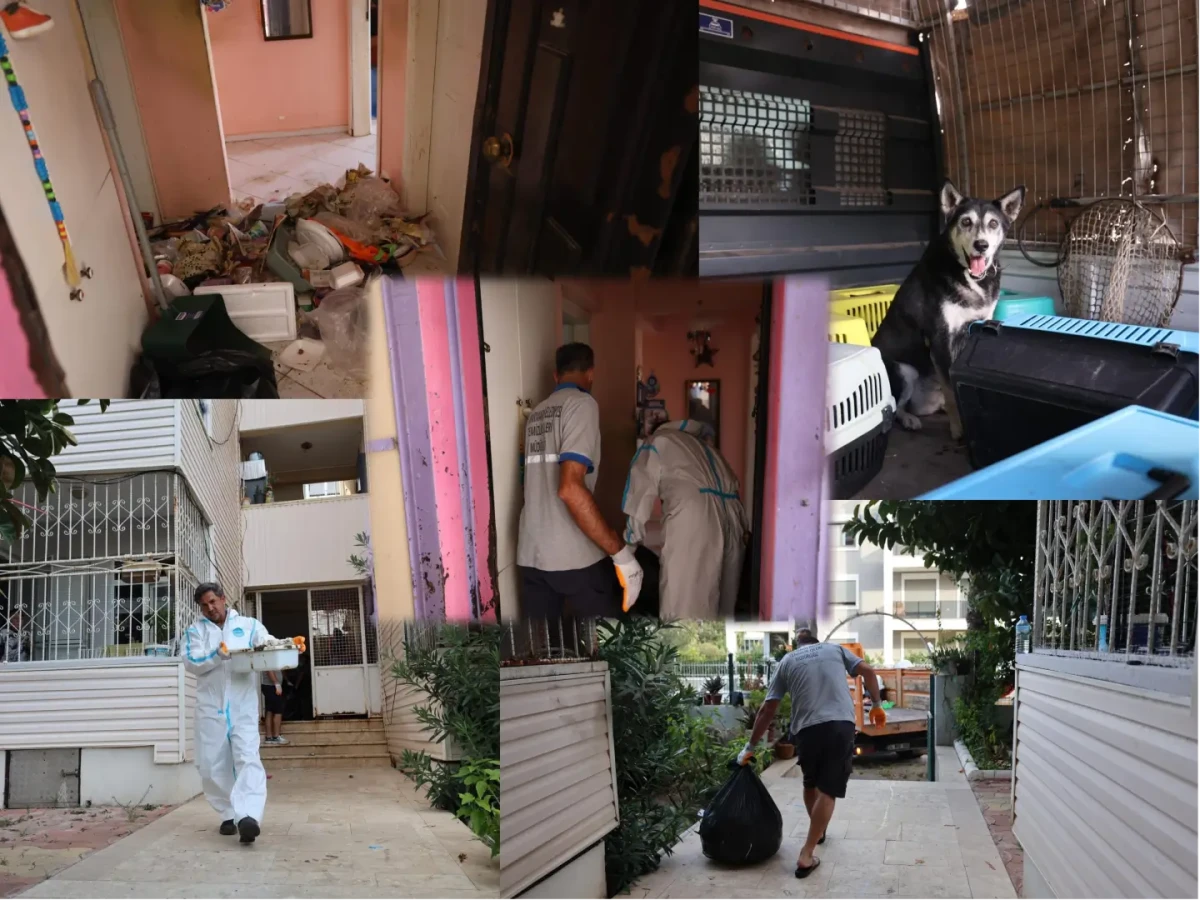 Marmaris'te Çöplerle Doldurulan Daireden Bir Kamyon Atık Çıkarıldı: 14 Kedi Ve 1 Köpek Kurtarıldı