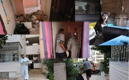 Marmaris'te Çöplerle Doldurulan Daireden Bir Kamyon Atık Çıkarıldı: 14 Kedi Ve 1 Köpek Kurtarıldı
