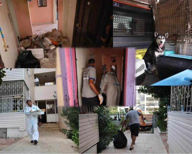 Marmaris'te Çöplerle Doldurulan Daireden Bir Kamyon Atık Çıkarıldı: 14 Kedi Ve 1 Köpek Kurtarıldı