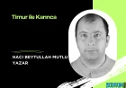 Timur ile Karınca