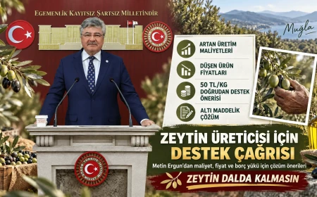 Metin Ergun’dan Zeytin Üreticileri İçin 6 Maddelik Çözüm Çağrısı: “Kilogram Başına En Az 50 Lira Destek Verilmeli”